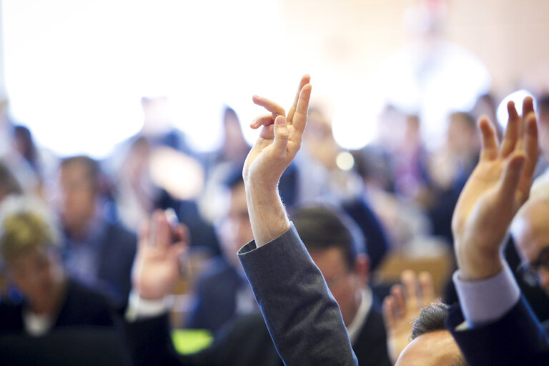 Fotogrāfija 2: ECON/BUDG Joint Committee Meeting - vote on the Juncker investment plan