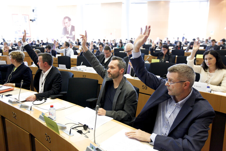 Photo 3: ECON/BUDG Joint Committee Meeting - vote on the Juncker investment plan