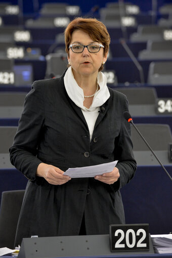 Suriet 5: Plenary session week 18 2015 in Strasbourg - Discharge 2013