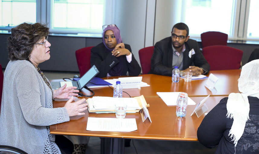 Zdjęcie 13: Meeting with Young Political Leaders from Sudan