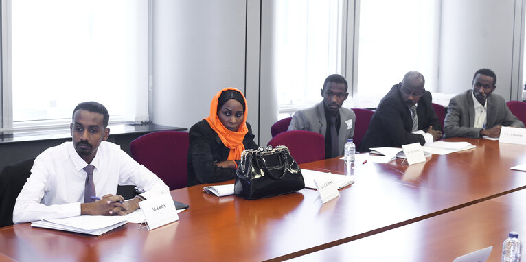 Zdjęcie 12: Meeting with Young Political Leaders from Sudan