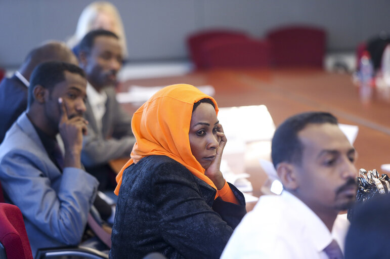 Zdjęcie 9: Meeting with Young Political Leaders from Sudan