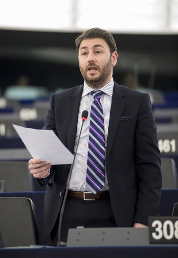 Fotagrafa 30: Plenary session week 11 2015 in Strasbourg - 2014 Progress report on the former Yugoslav Republic of Macedonia