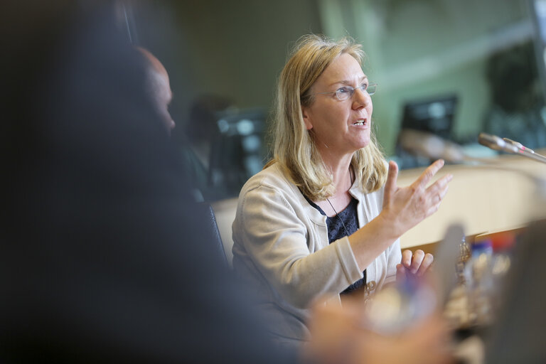 Valokuva 4: TRAN Committee hearing : 'How to keep Europe at number one ?  European tourism's challenges and responses'