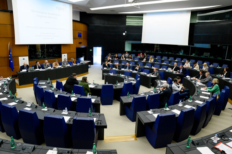 Fotografija 18: Meeting - IG Minority Languages - The European Roadmap for Linguistic Diversity