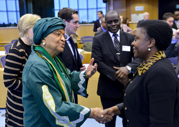 Fotogrāfija 3: Delegation to the ACP-EU Joint Parliamentary Assembly  Global response on Ebola and the way  forward