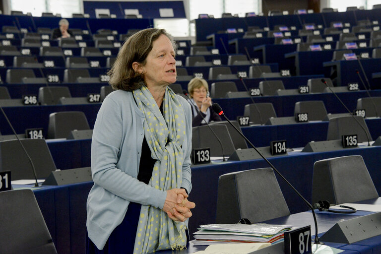 Photo 10 : Plenary session week 11 2015 in Strasbourg - European long-term investment funds