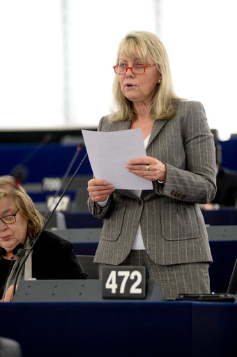 Fotografie 27: Plenary session week 11 2015 in Strasbourg - Tanzania, notably the issue of land grabbing