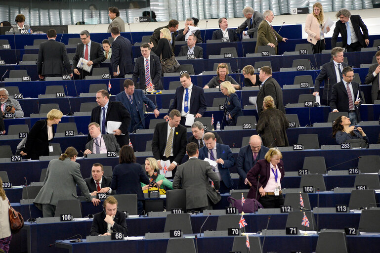 Fotografie 5: Plenary session week 11 2015 in Strasbourg - Explanation of votes