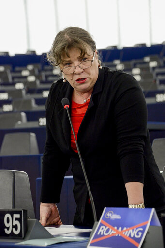 Photo 5 : Plenary session week 11 2015 in Strasbourg - European long-term investment funds