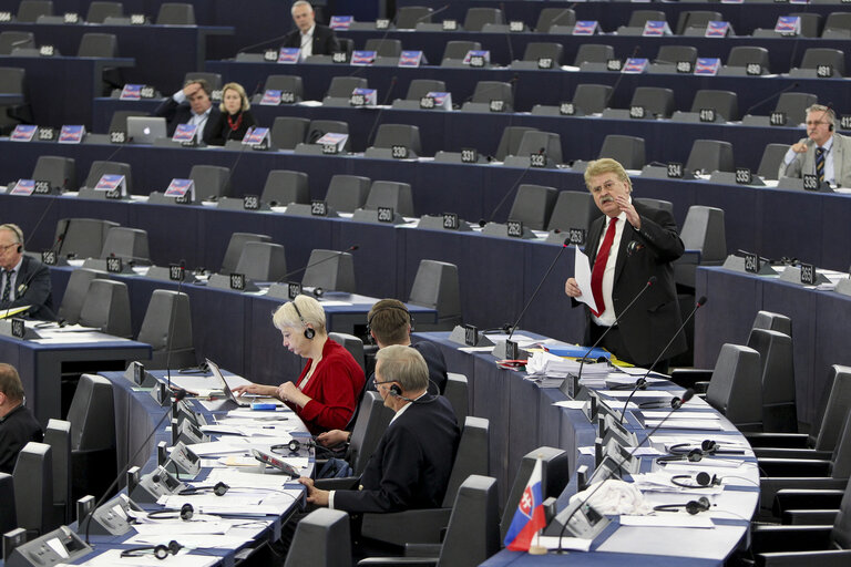 Foto 43: Plenary session week 11 2015 in Strasbourg - Murder of the Russian opposition leader Boris Nemtsov and the state of democracy in Russia  Statement by the Vice-President of the Commission/High Representative of the Union for Foreign Affairs and Security Policy