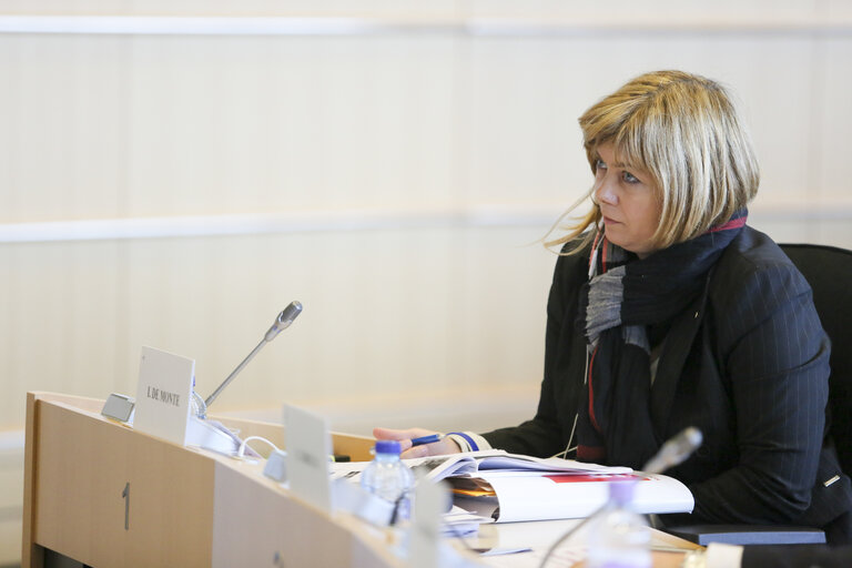 Valokuva 25: TRAN Committee hearing : 'How to keep Europe at number one ?  European tourism's challenges and responses'