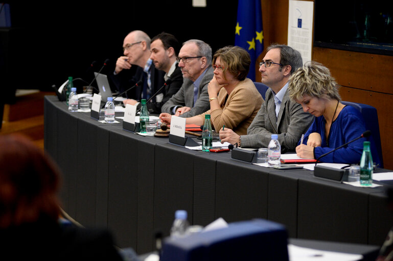 Fotografija 1: Meeting - IG Minority Languages - The European Roadmap for Linguistic Diversity