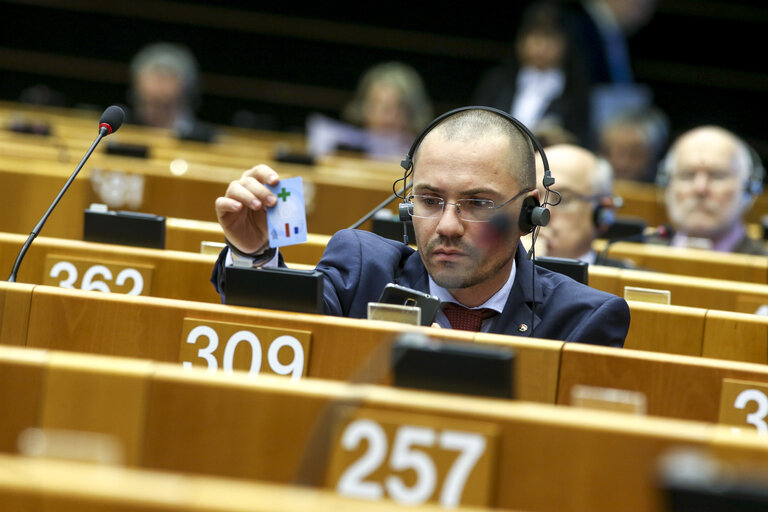 Nuotrauka 42: Plenary session week 13 in Brussels - European Council and Commission statements - Conclusions of the European Council  meeting - 19-20 March 2015