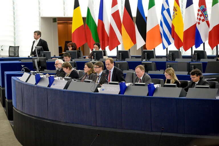 Fotografie 7: Plenary session week 11 2015 in Strasbourg - Explanation of votes