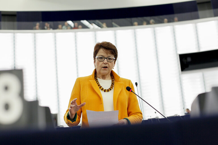 Fotografija 13: Plenary session week 11 2015 in Strasbourg - Annual report 2013 on the protection of EU's financial interests - Fight against fraud