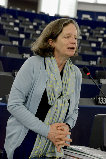 Photo 8 : Plenary session week 11 2015 in Strasbourg - European long-term investment funds