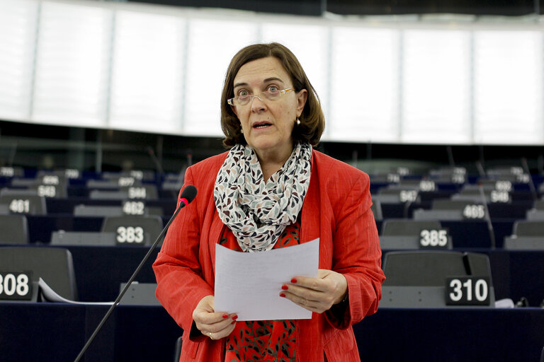 Fotografija 12: Plenary session week 11 2015 in Strasbourg - Annual report 2013 on the protection of EU's financial interests - Fight against fraud