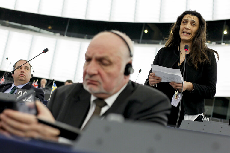 Fotografija 2: Plenary session week 11 2015 in Strasbourg - Annual report 2013 on the protection of EU's financial interests - Fight against fraud