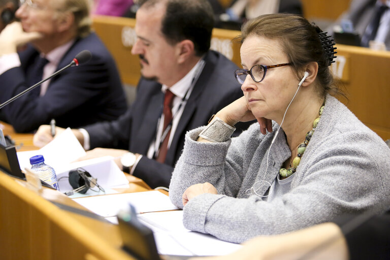 Billede 3: Danuta JAZLOWIECKA during plenary session week 13 2015 in Brussels