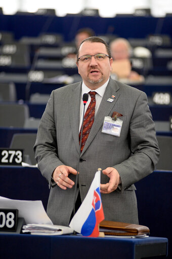 Fotografie 32: Plenary session week 11 2015 in Strasbourg - Tanzania, notably the issue of land grabbing