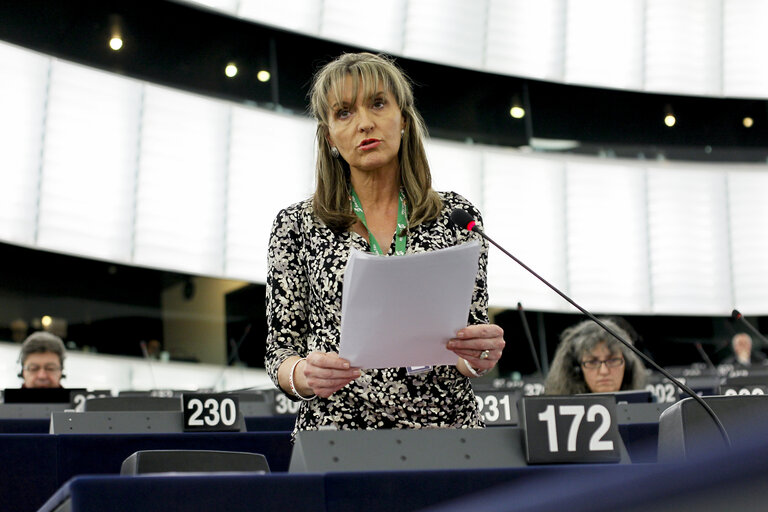 Fotografija 9: Plenary session week 11 2015 in Strasbourg - Annual report 2013 on the protection of EU's financial interests - Fight against fraud