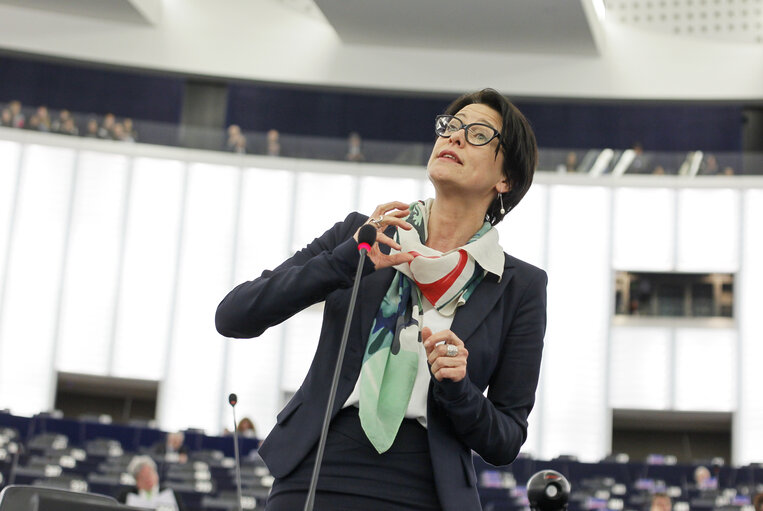 Fotografie 13: Plenary session week 11 2015 in Strasbourg - Preparations for the European Council meeting (19-20 March 2015)