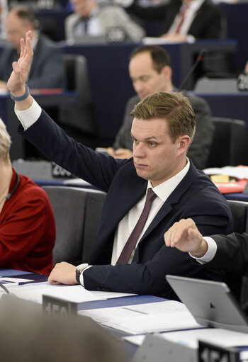 Fotografi 1: Gabrielius LANDSBERGIS voting during the plenary session in Strasbourg - Week 11 2015