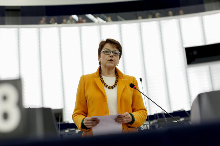 Fotografie 14: Plenary session week 11 2015 in Strasbourg - Annual report 2013 on the protection of EU's financial interests - Fight against fraud