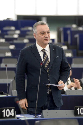 Fotagrafa 41: Plenary session week 11 2015 in Strasbourg - 2014 Progress report on the former Yugoslav Republic of Macedonia