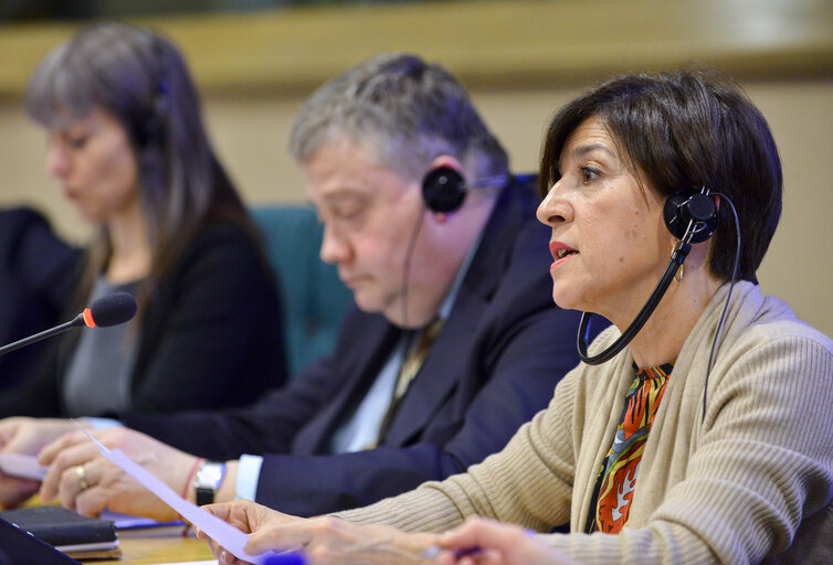 Photo 3 : DG COMM Seminar:  Education versus job opportunities in the European Union