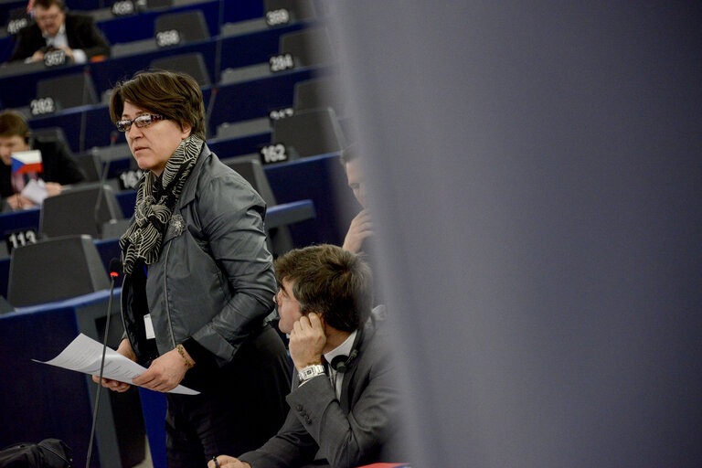 Photo 32 : Plenary session week 11 2015 in Strasbourg - European long-term investment funds