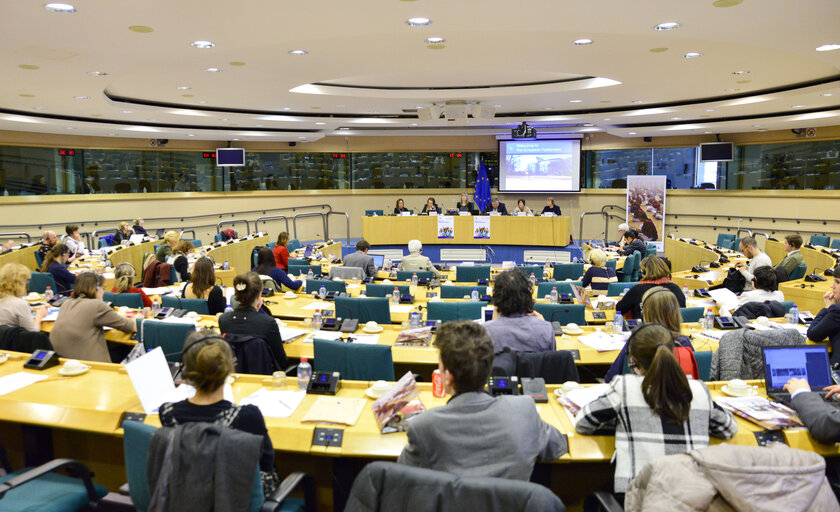 Photo 15 : DG COMM Seminar:  Education versus job opportunities in the European Union