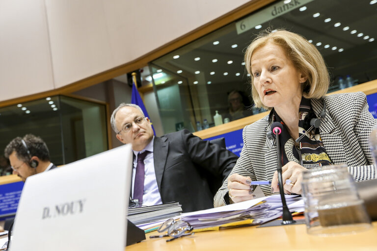 Foto 4: Public Hearing with Chair of the Supervisory Board of the ECB  EP Committee on Economic and Monetary Affairs