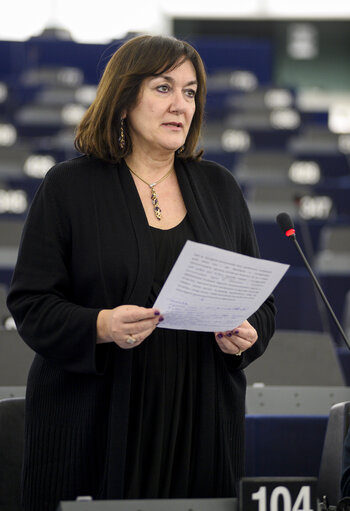 Fotagrafa 14: Plenary session week 11 2015 in Strasbourg - 2014 Progress report on Montenegro