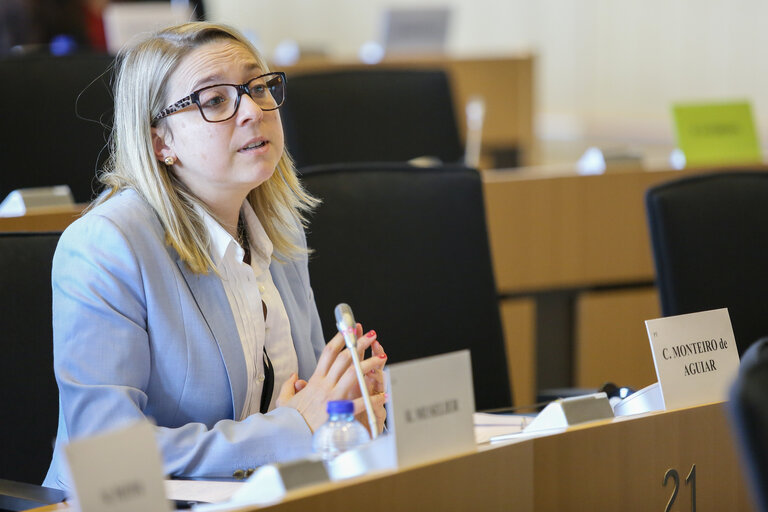 Valokuva 22: TRAN Committee hearing : 'How to keep Europe at number one ?  European tourism's challenges and responses'