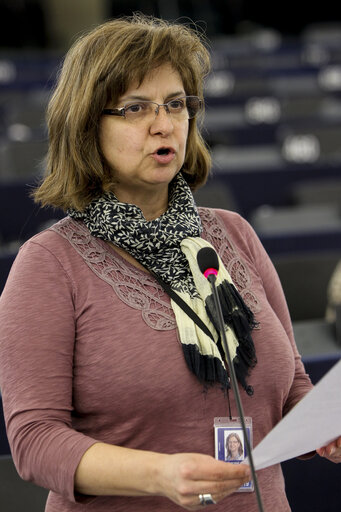 Fotagrafa 4: Plenary session week 11 2015 in Strasbourg - Explanation of votes