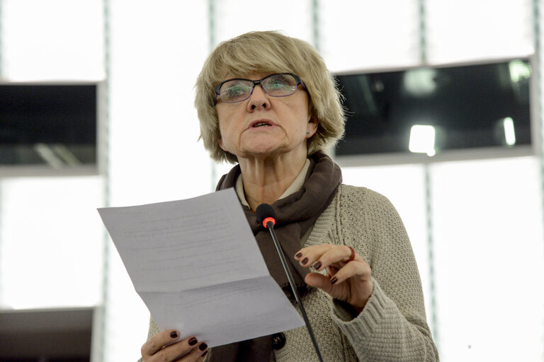 Photo 23 : Plenary session week 11 2015 in Strasbourg - European long-term investment funds