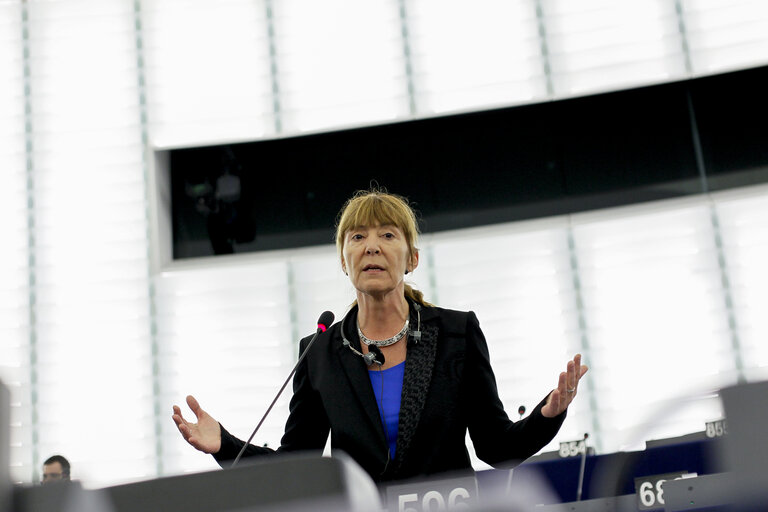 Fotografie 15: Plenary session week 11 2015 in Strasbourg - Annual report 2013 on the protection of EU's financial interests - Fight against fraud