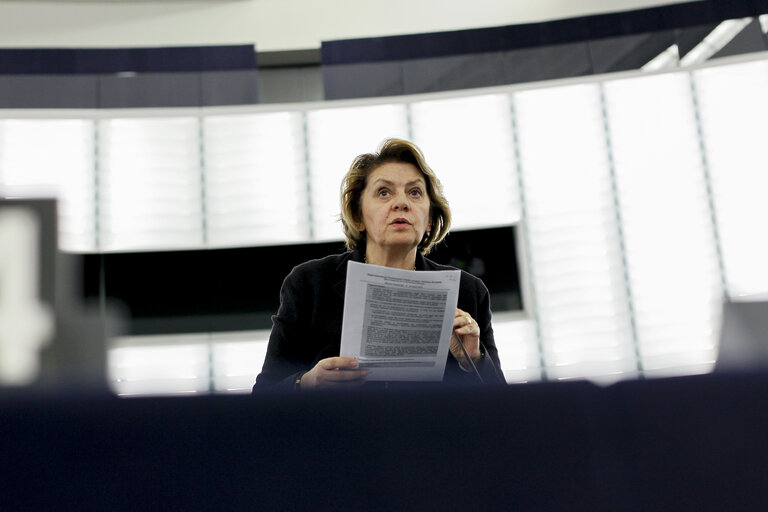 Fotografija 1: Plenary session week 11 2015 in Strasbourg - Annual report 2013 on the protection of EU's financial interests - Fight against fraud