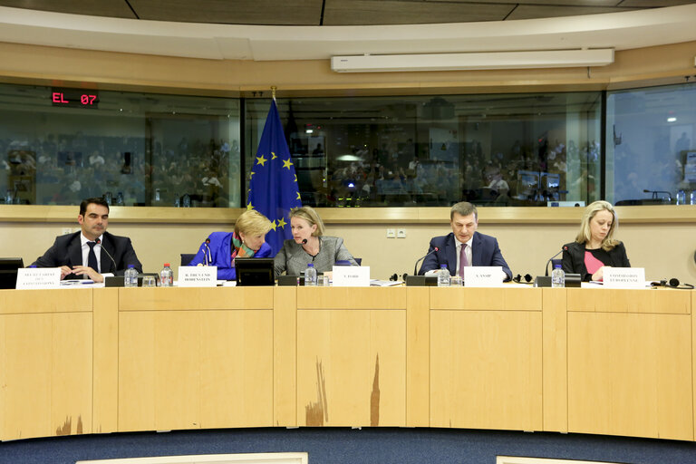 Fotografi 23: IMCO Working Group on Digital Single Market