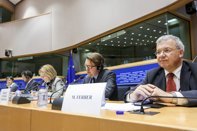 Foto 3: Public Hearing with Chair of the Supervisory Board of the ECB  EP Committee on Economic and Monetary Affairs