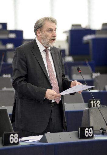 Fotagrafa 33: Plenary session week 11 2015 in Strasbourg - 2014 Progress report on the former Yugoslav Republic of Macedonia