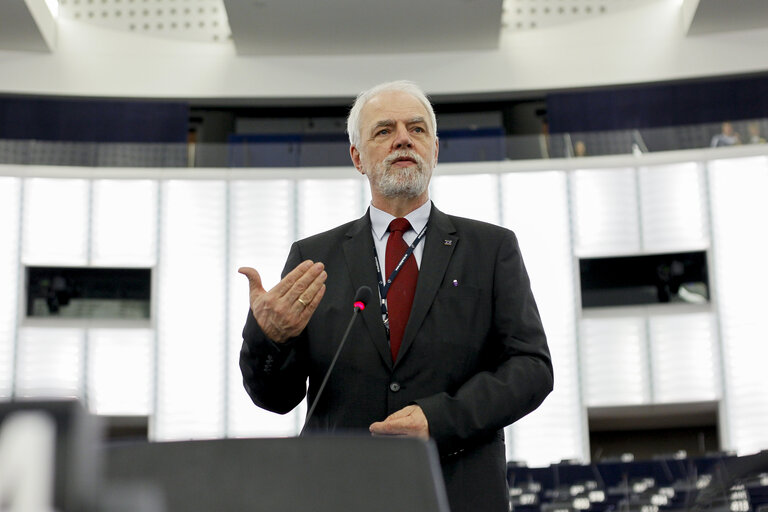 Fotografija 47: Plenary session week 11 2015 in Strasbourg - Guidelines for the 2016 budget - Section III