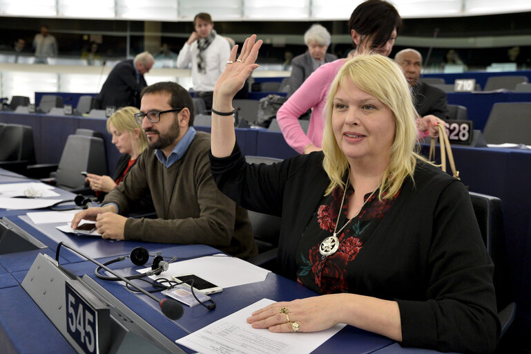 Fotografija 3: Plenary session week 07 2015 in Strasbourg