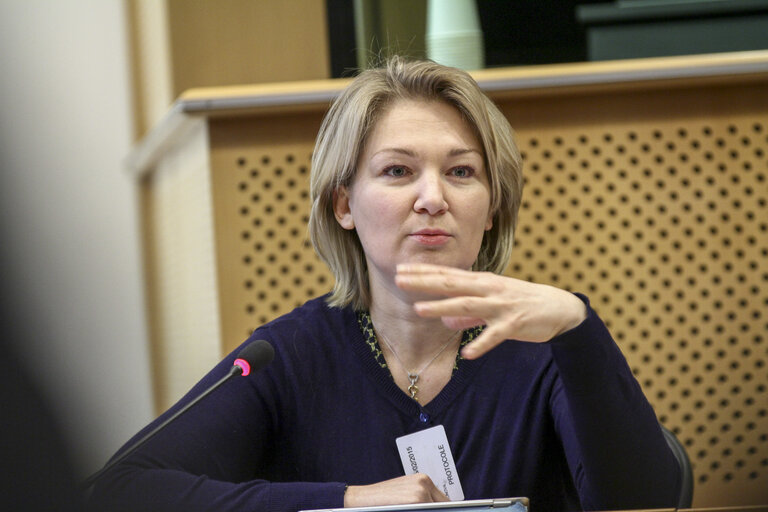 Photo 15 : Informal meeting  Group of Friends of  EuropeanUkraine