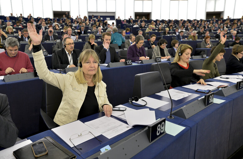 Fotografija 19: Plenary session week 07 2015 in Strasbourg