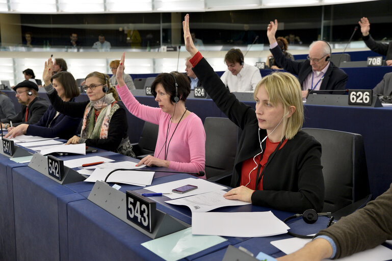 Fotografija 5: Plenary session week 07 2015 in Strasbourg