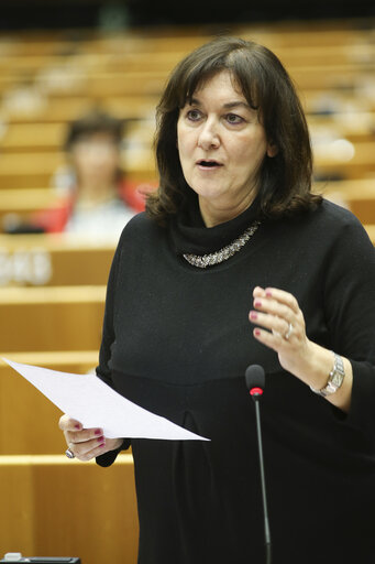 Plenary session week 9 in Brussels