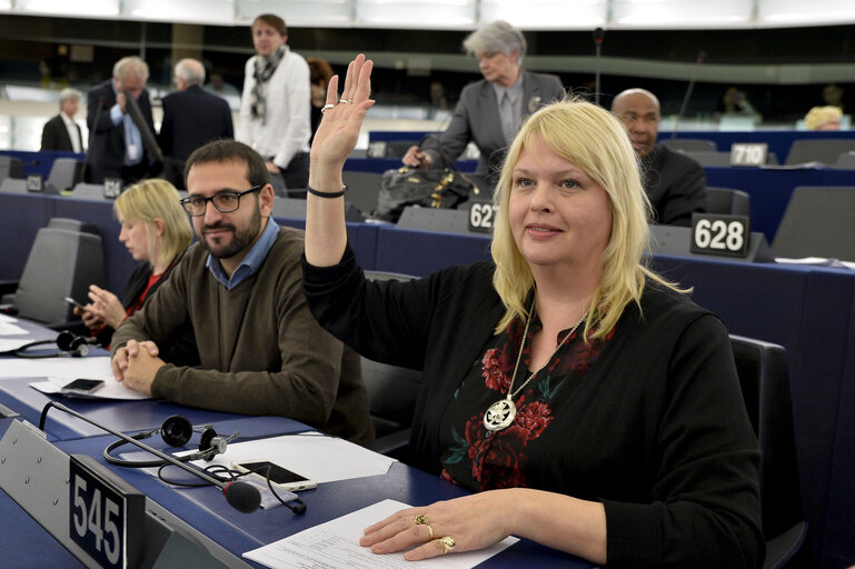 Fotografija 1: Plenary session week 07 2015 in Strasbourg